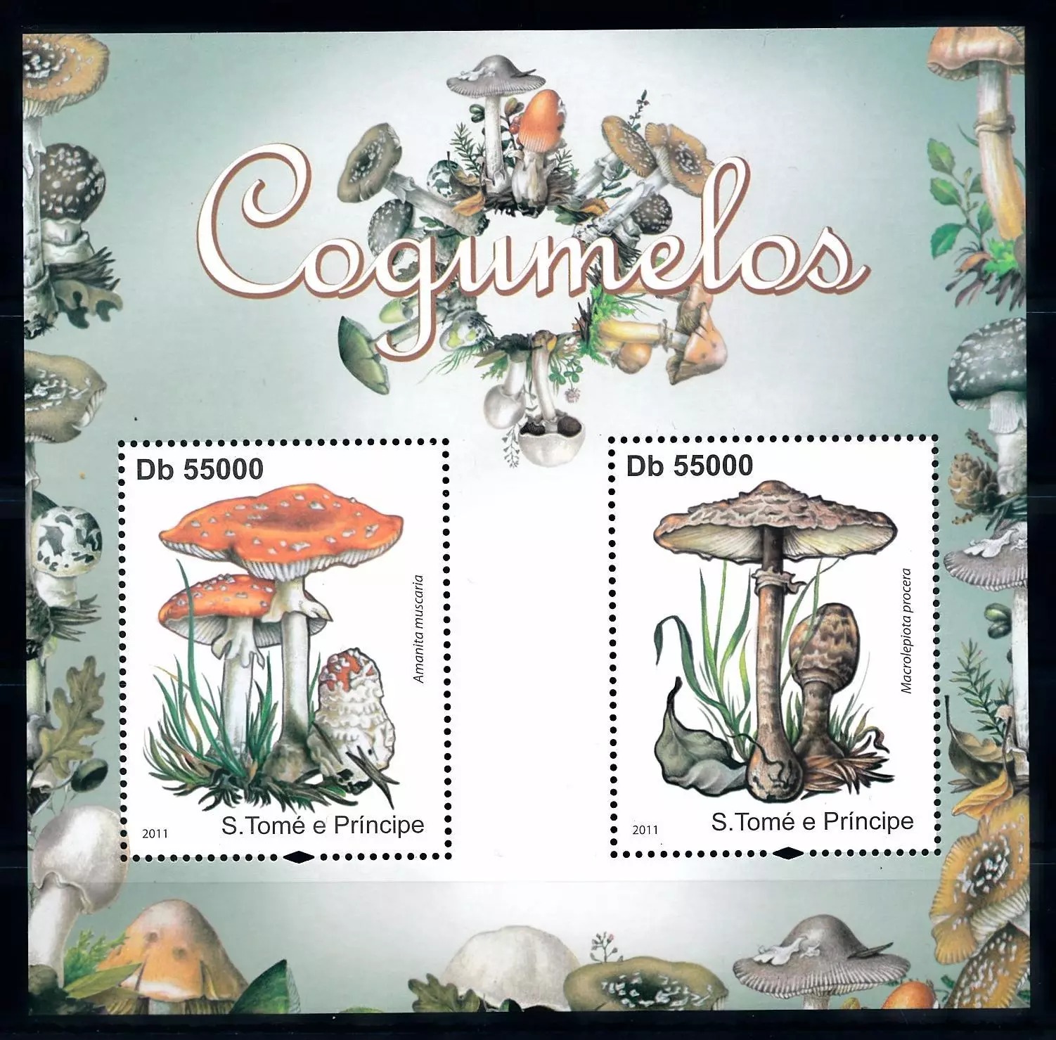 Comores 2011 Mushrooms Pilze Champignons M/S MNH