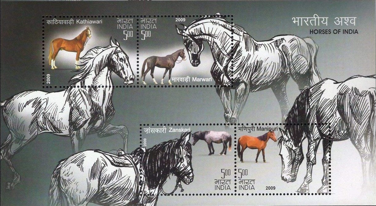 India 2009 Horses of India Miniature Sheet MNH