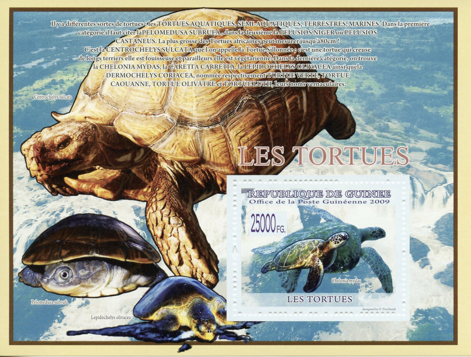 Guinee 2009 Turtles M/S MNH