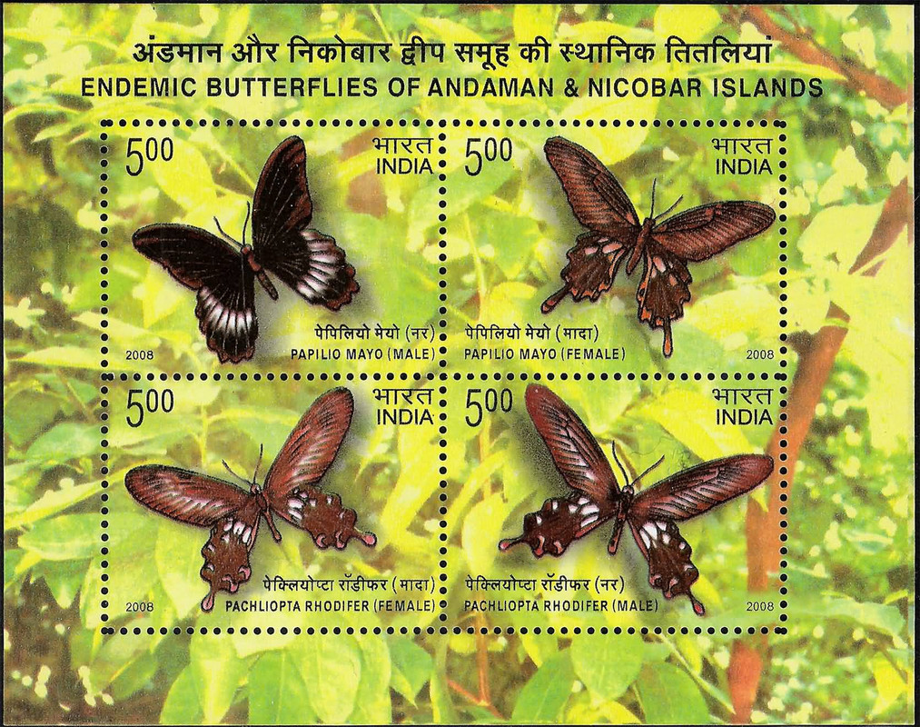 India 2008 Endemic Butterflies Of Andaman & Nicobar Islands Miniature Sheet MNH