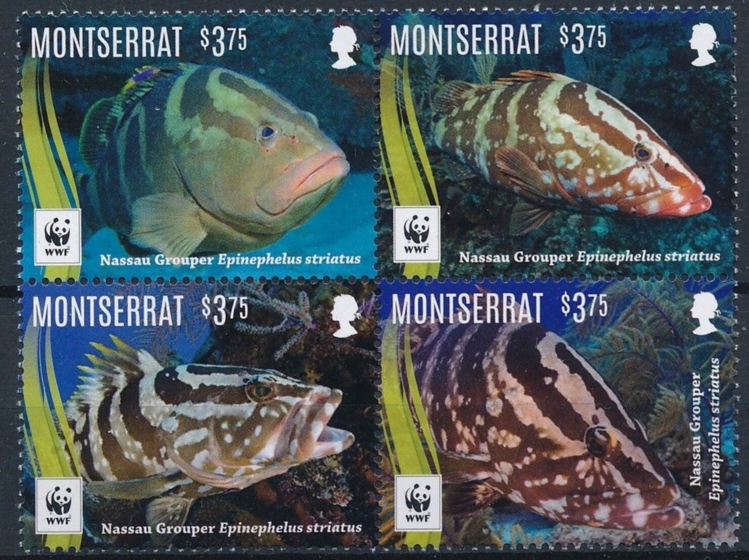 Montserrat Fish Marine Life WWF 4v Set M/S MNH