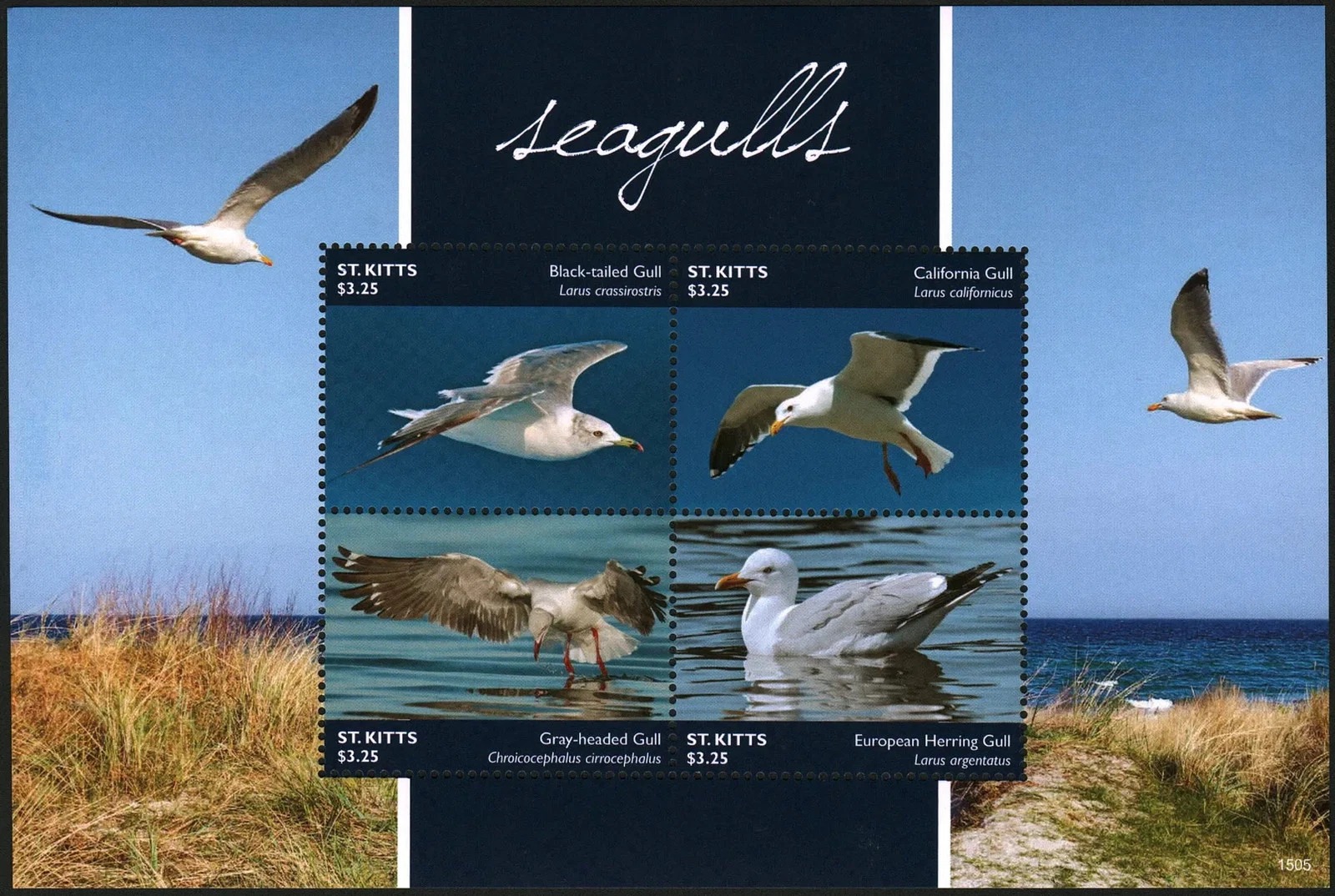 St. Kitts 2015 Seagulls Birds M/S MNH