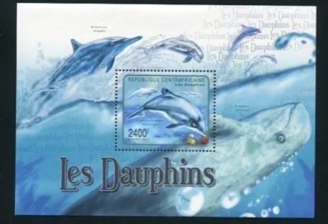 Central Africa 2011 Dolphins M/S HMN