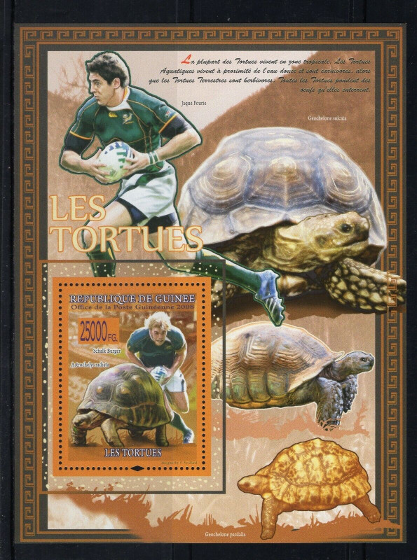 Guinee 2008 Turtles M/S MNH