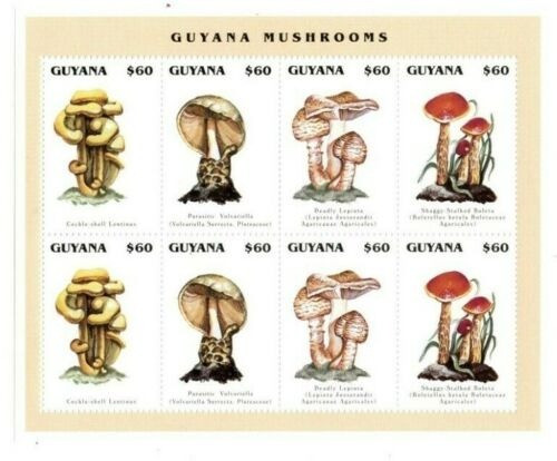 Guyana 1996 Mushrooms M/S MNH