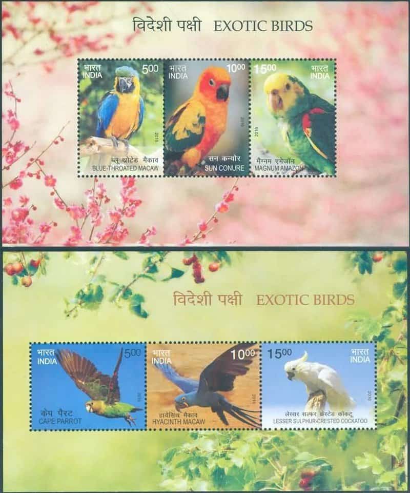 India 2016 Exotic Birds Miniature Sheet MNH
