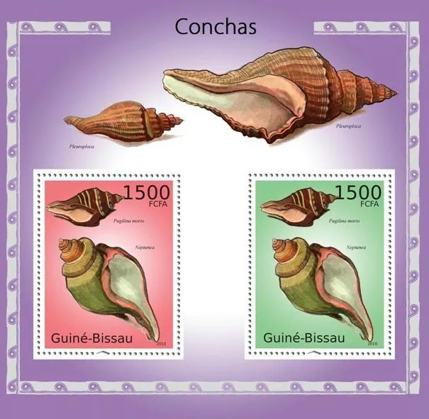 Guinea Bissau 2010 Shells M/S HMN