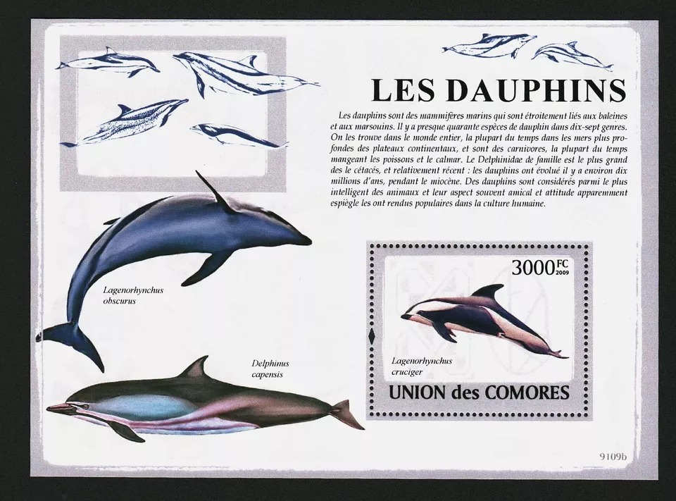 Comores 2009 Dolphins Marine Life M/S HMN