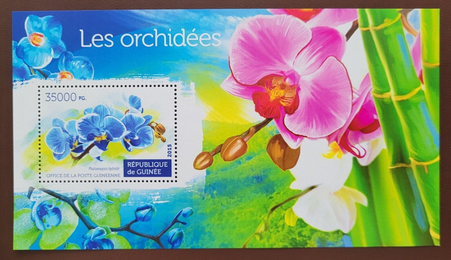 Guinee 2015 Flowers Orchids M/S MNH