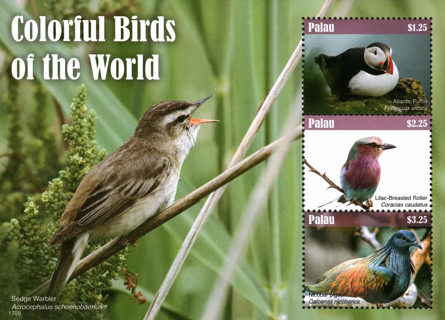 Palau 2017 Colorful Birds M/S MNH