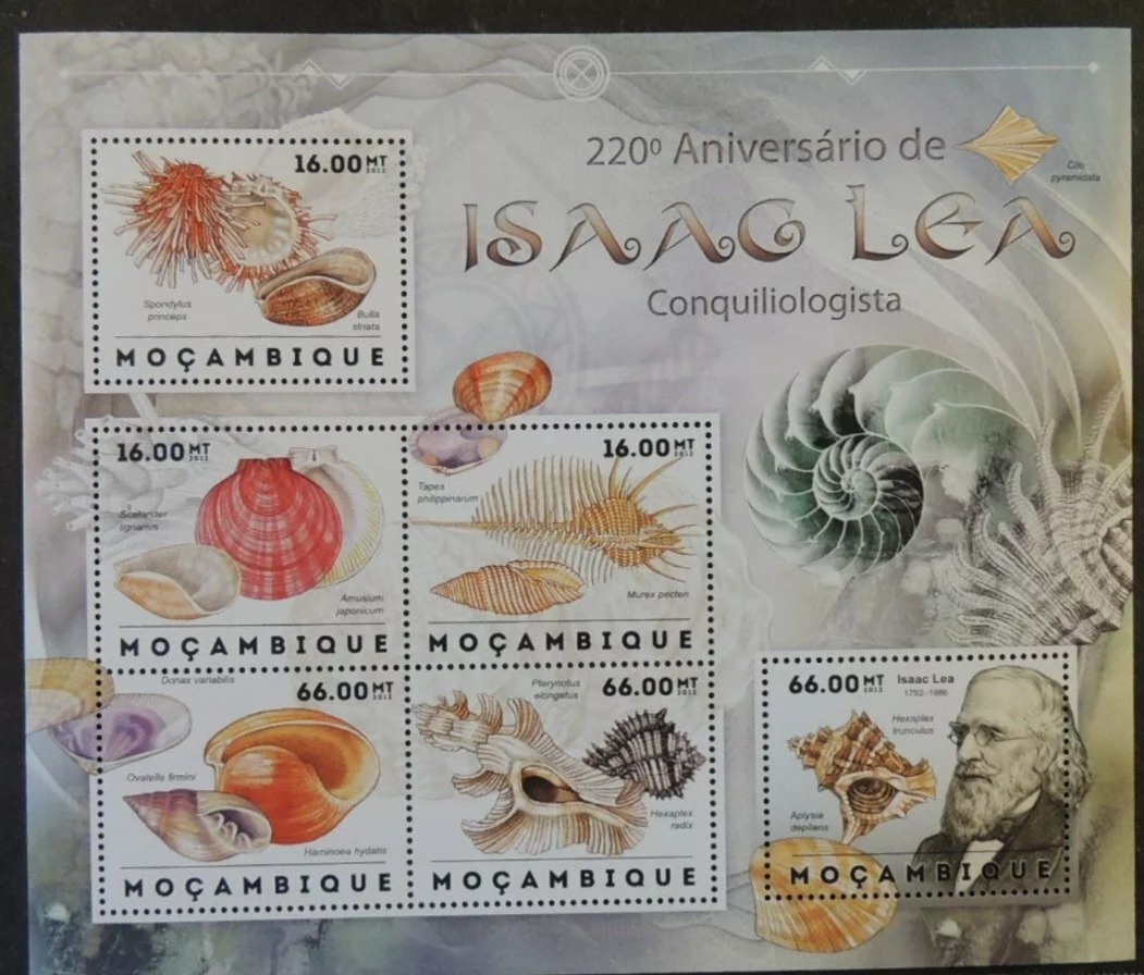 Mozambique 2012 Sea shells Marine Life M/S MNH