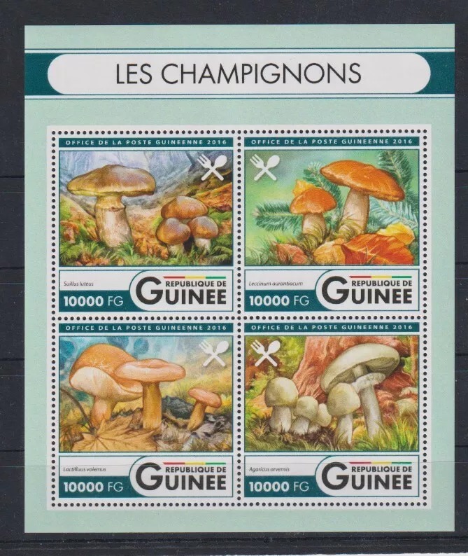 Guinee 2016 Mushrooms M/S HMN