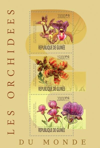 Guinee 2013 Orchidees M/S MNH