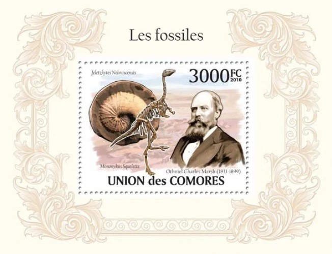 Comoros 2010 Fossils Skeletons of Dinosaurs M/S MNH
