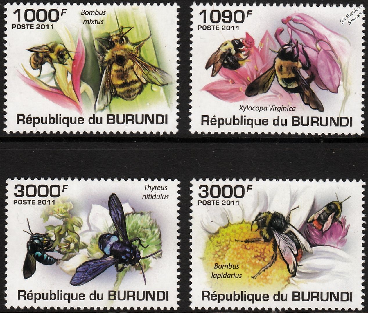 Burundi 2011 Bees  M/S 4v Set MNH