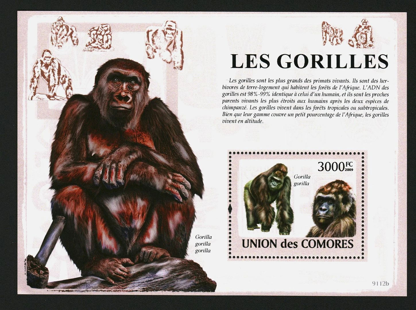 Comores 2009 Gorillas Animals Monkeys M/S MNH