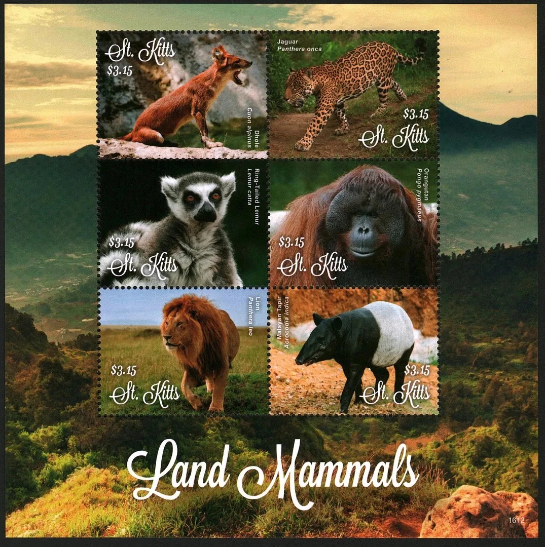 St. Kitts 2016 Land Mammals Animals M/S MNH