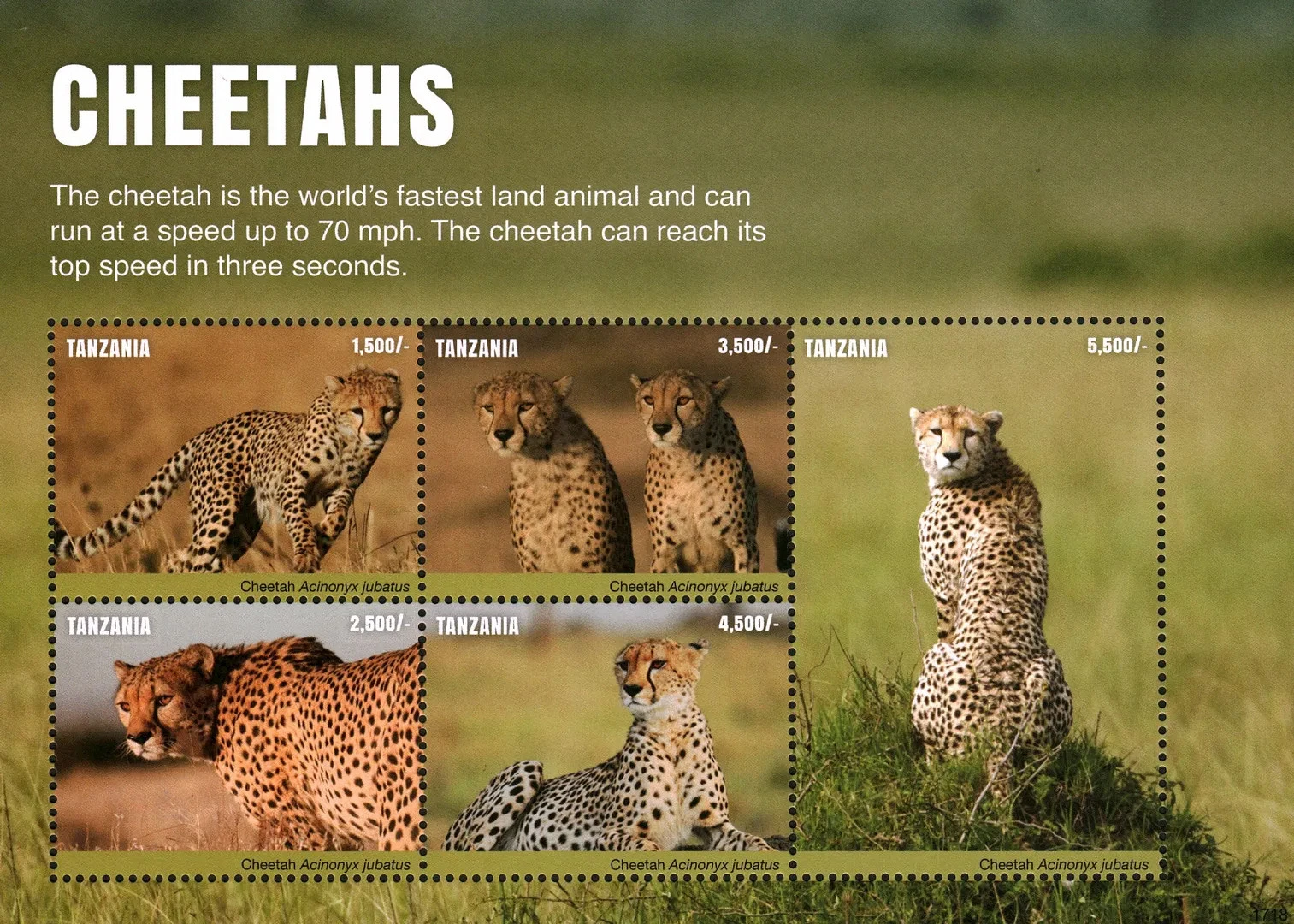 Tanzania 2017 Cheetahs Wild Cat M/S MNH -