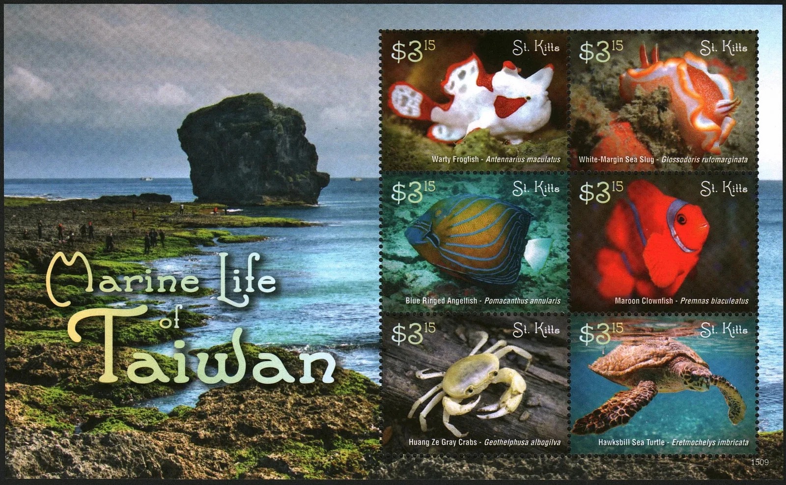 St. Kitts 2015 Marine Life Of Taiwan M/S MNH  Stamp