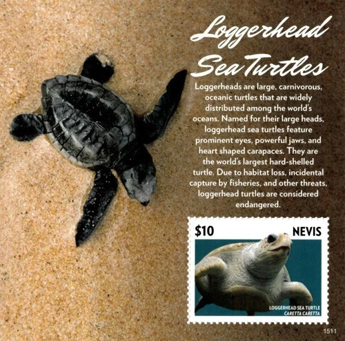Nevis 2015 Sea Turtles Marine Life M/S MNH