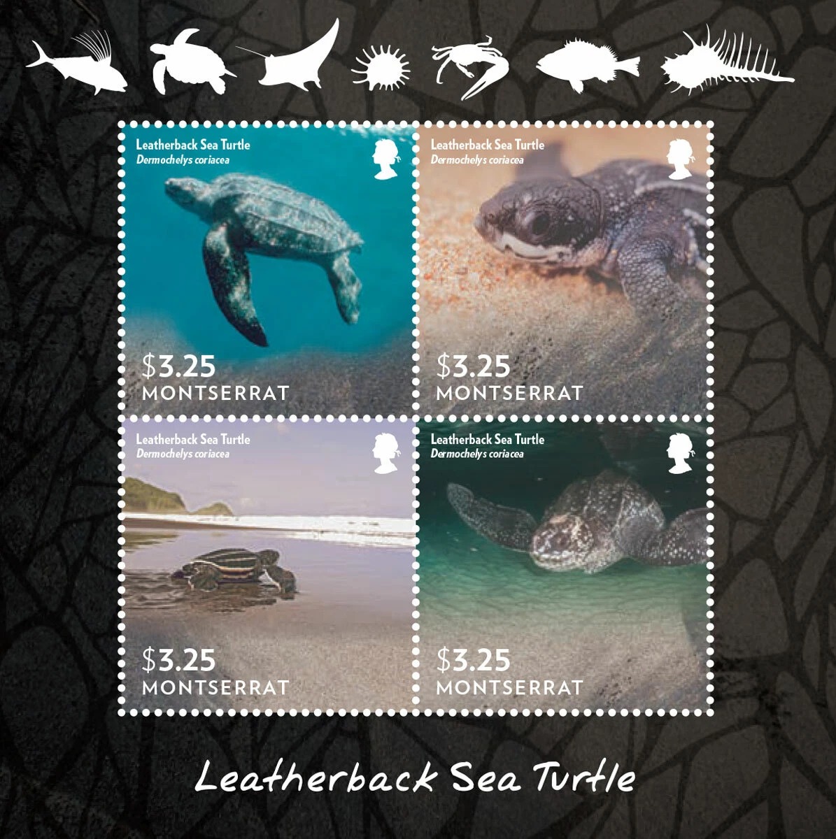 Montserrat 2015 Leatherback Sea Turtles Marine Life M/S MNH
