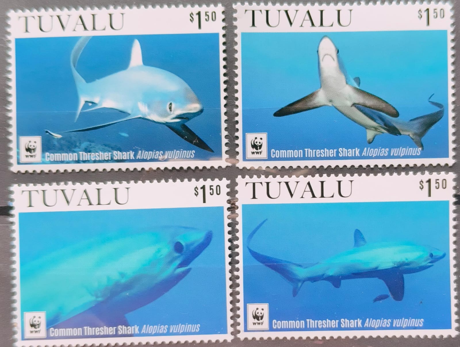 Tuvalu Shark WWF 4v Set M/S MNH