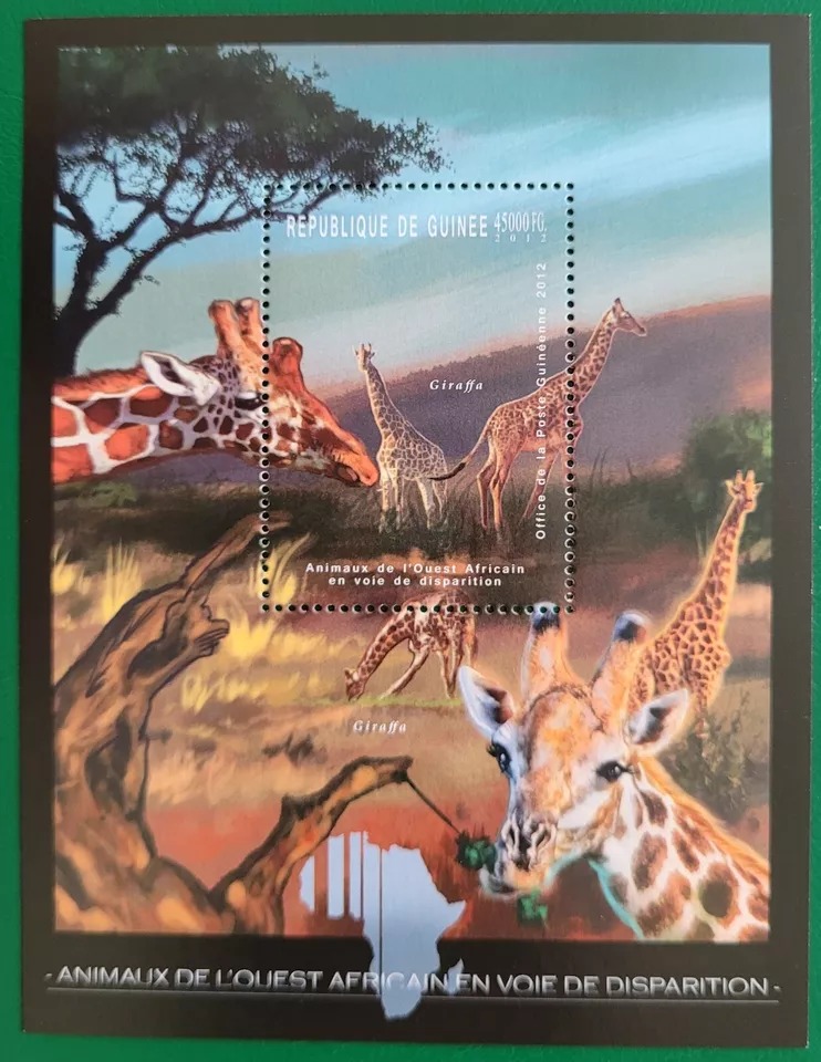 Guinee 2012 Giraffe Animals M/S MNH