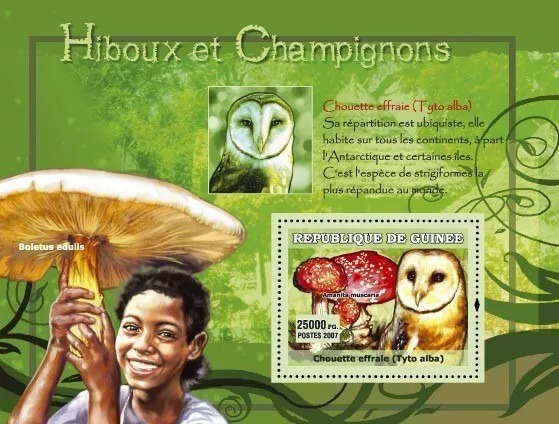 Guinee 2007 Owls Hiboux Mushrooms Champignons M/S MNH