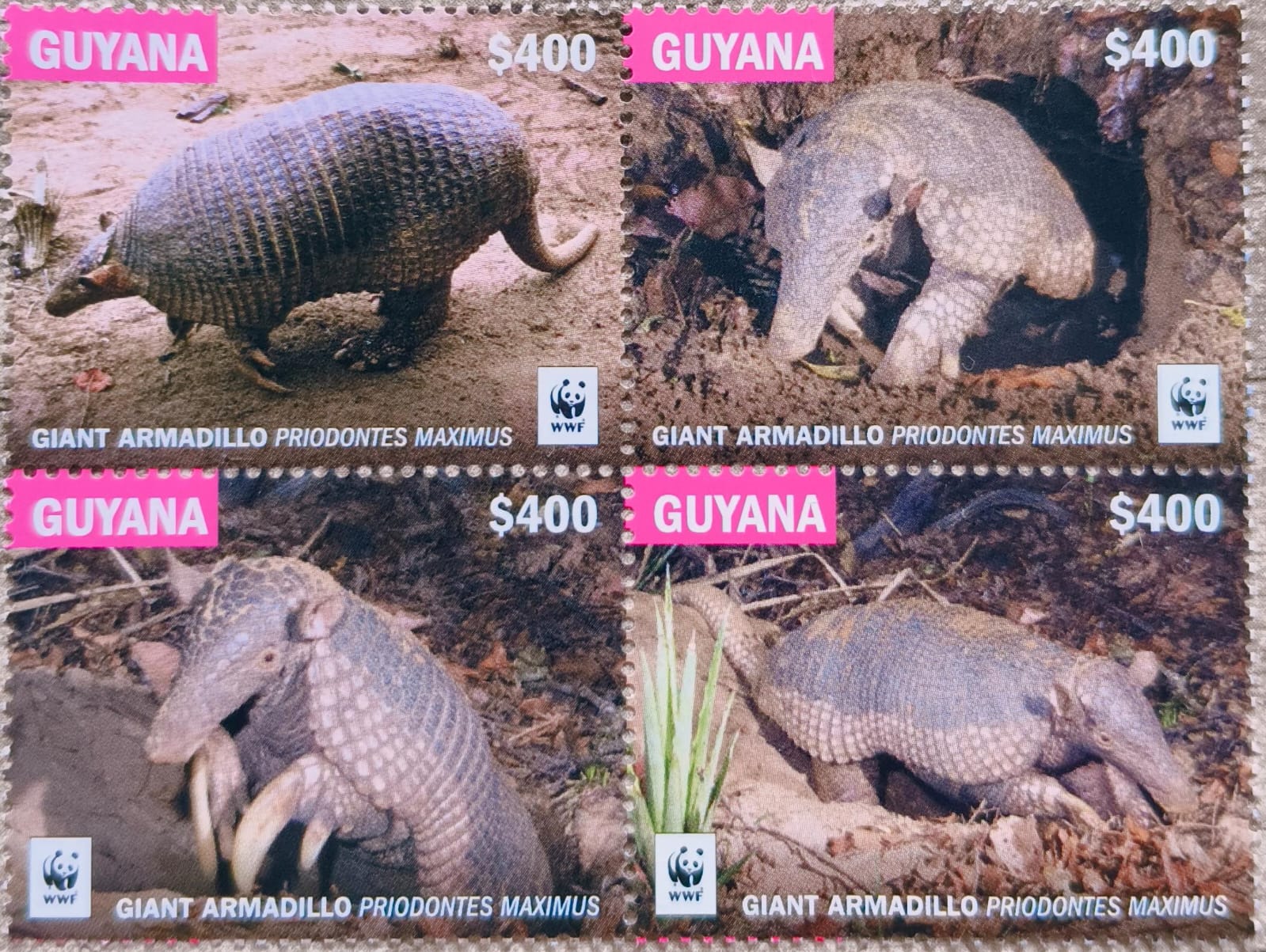 Guyana 2016 Giant Armadillo Fauna WWF 4v Set MNH