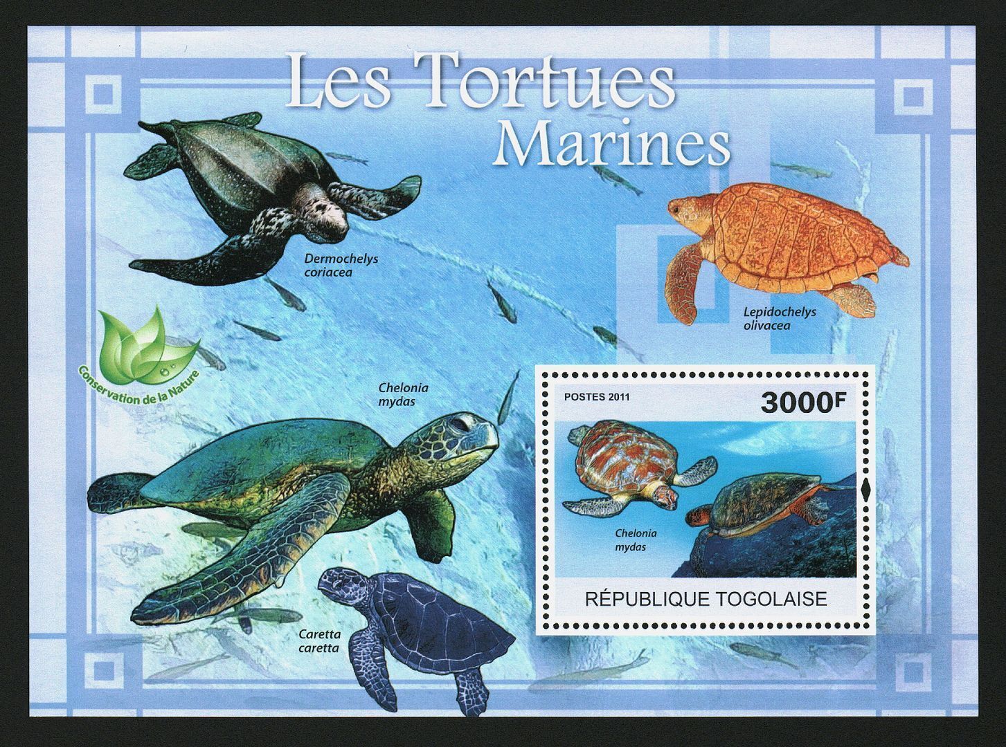 Togo 2011 Sea Turtles M/S MNH