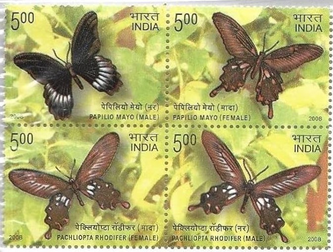 India 2008 Endemic Butterflies of Andaman & Nicobar Island Setenant MNH