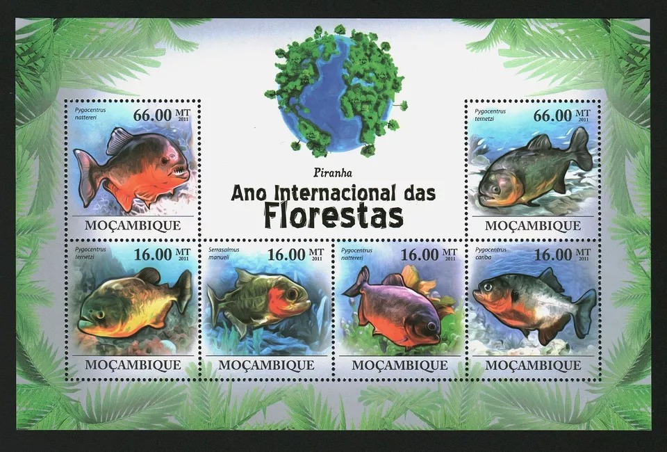 Mozambique 2011 Fish M/S MNH