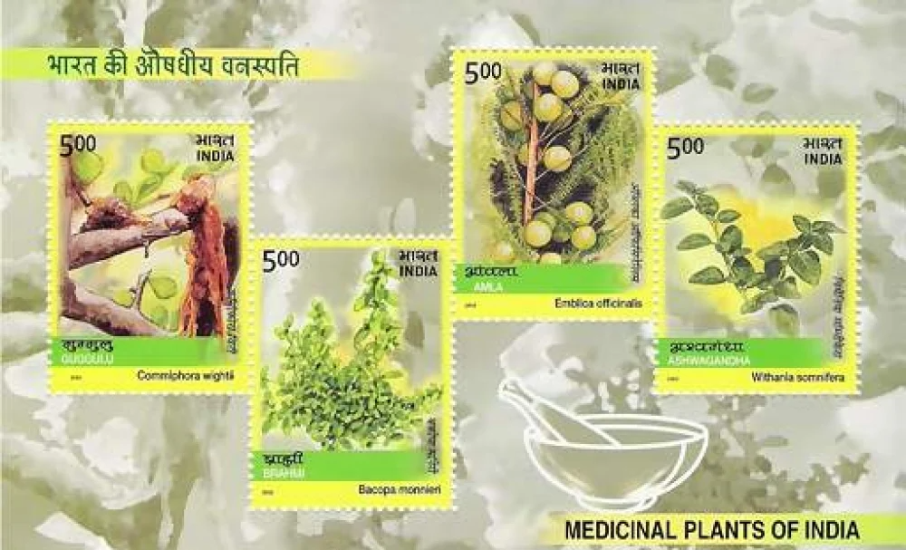 India 2003 Medicinal Plants of India Miniature Sheet MNH