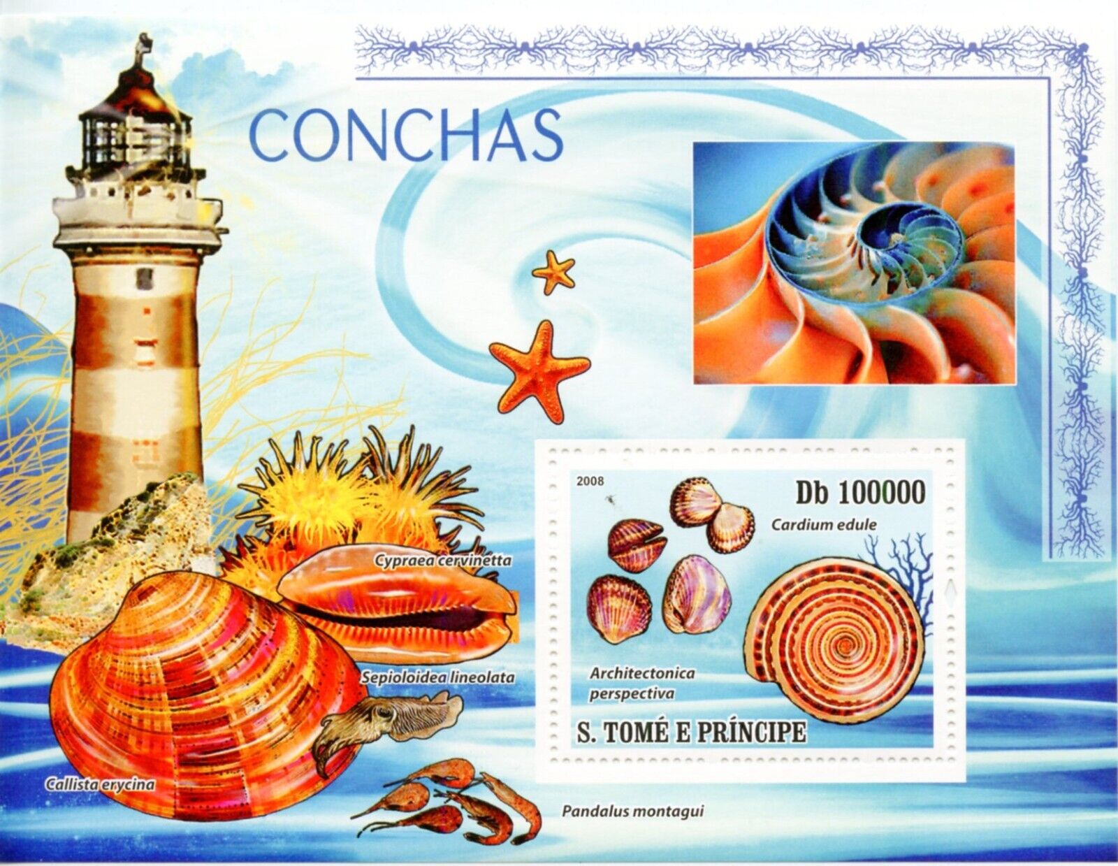 Sao Tome 2008 shell M/S MNH