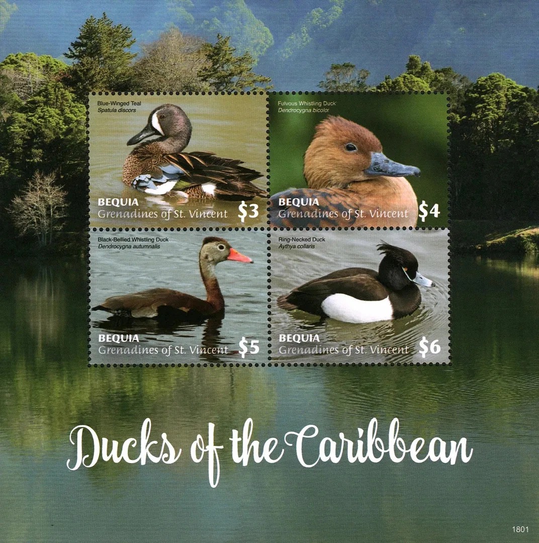 St. Vincent 2018 Ducks Birds M/S MNH