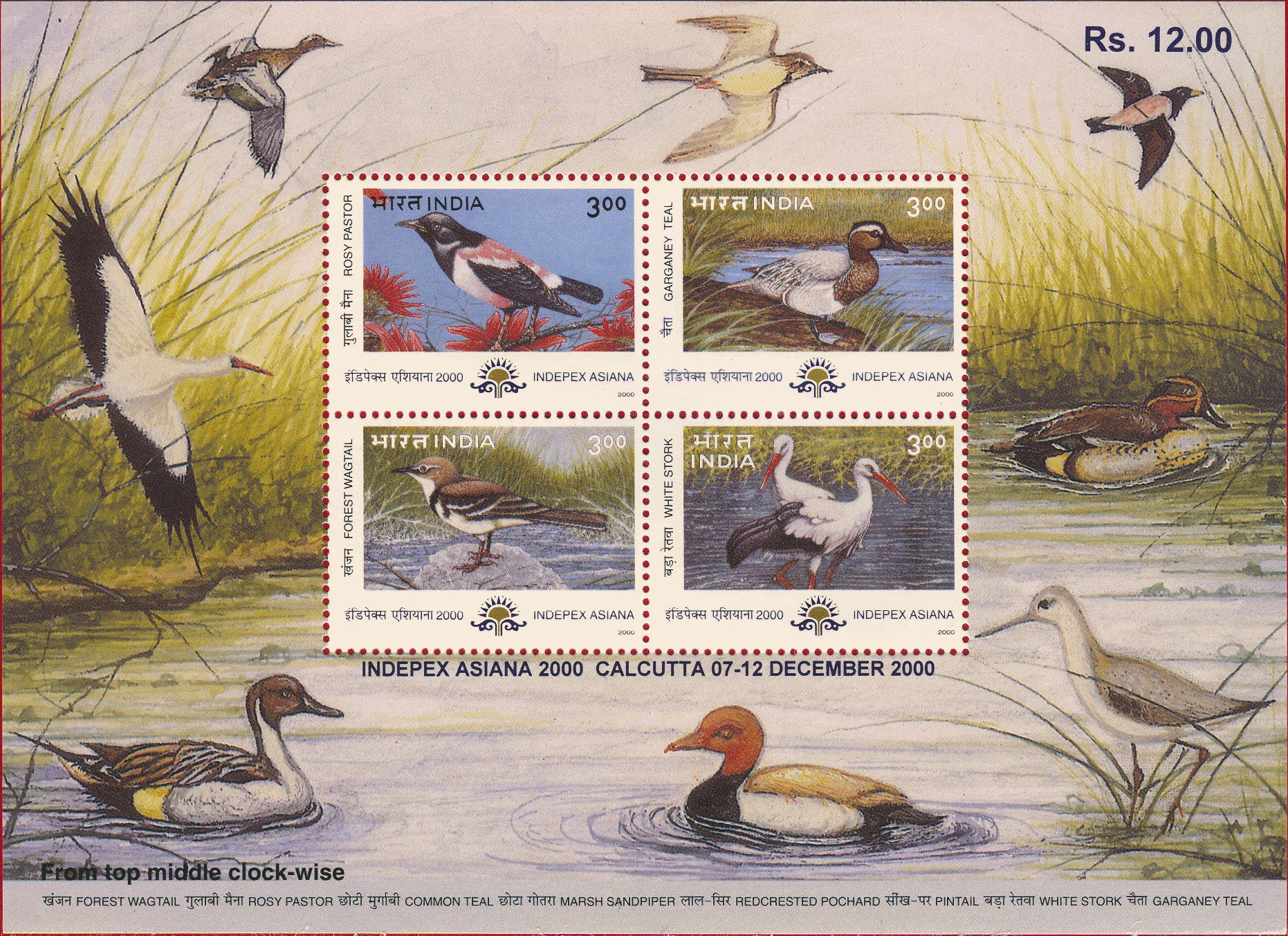 India 2000 Indepex Migratory Birds Miniature Sheet MNH