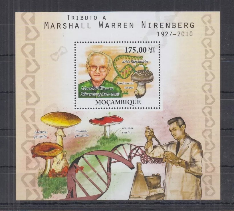 Mozambique 2010 Mushrooms M/S MNH