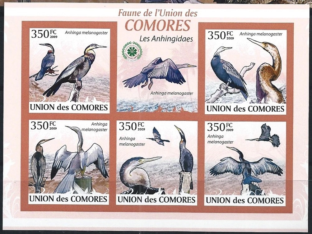 Comores 2009 Birds M/S MNH
