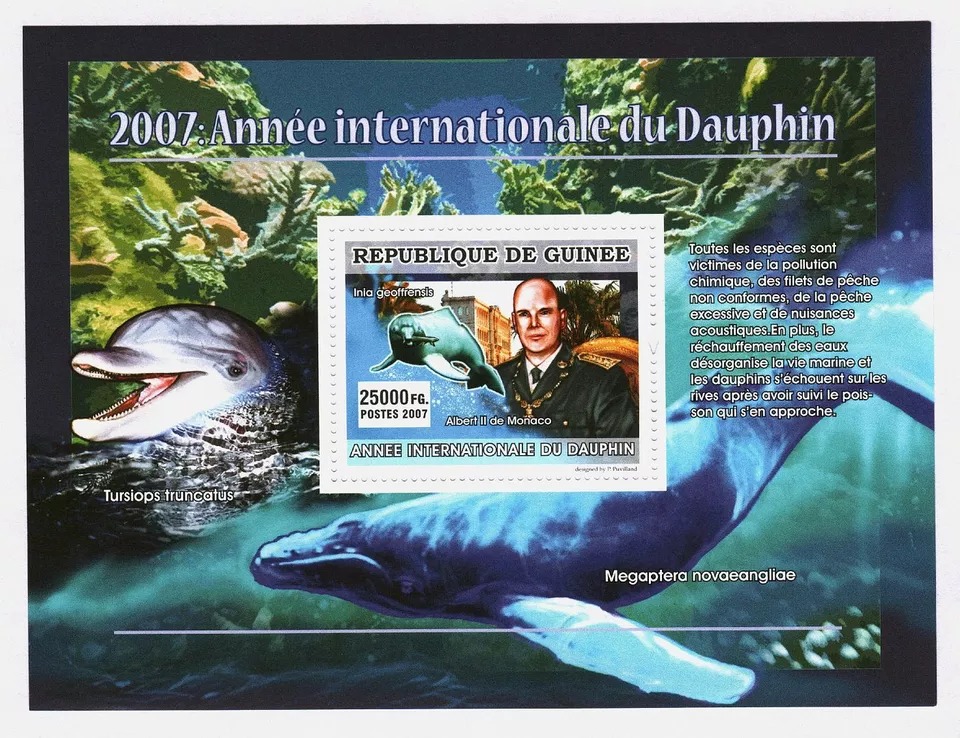 Guinee 2007 International Dolphin Year M/S MNH