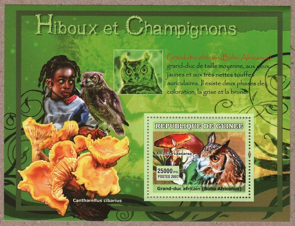 Guinee 2007 Owls And Mushrooms M/S MNH