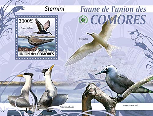 Comores 2009 Birds M/S MNH