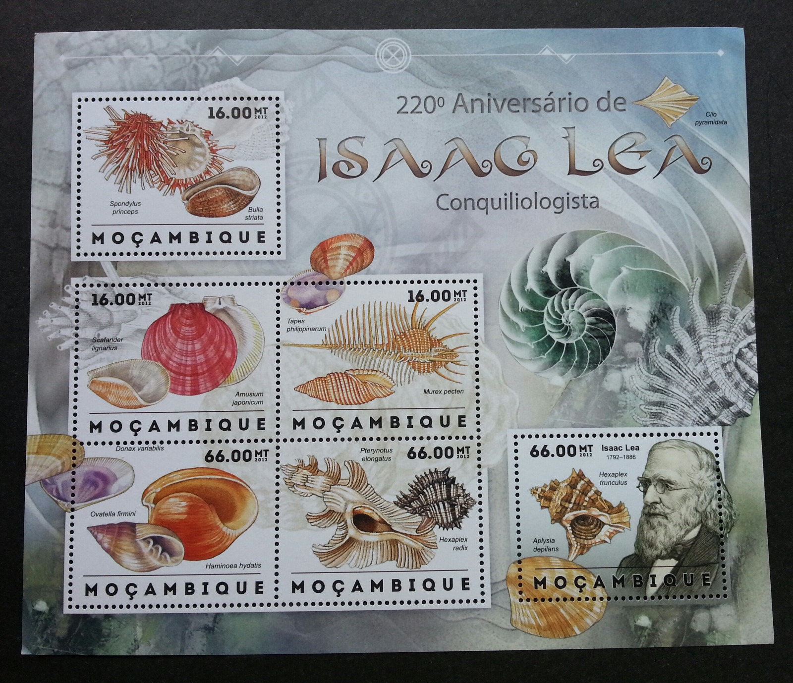 Mozambique 2012 Sea shell Marine Life M/S MNH