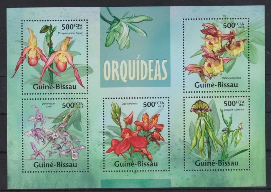 Guinea Bissau 2013 Flowers Orchids M/S MNH