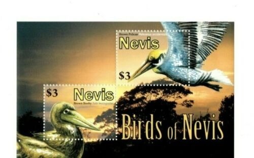 Nevis 2010 Birds M/S MNH