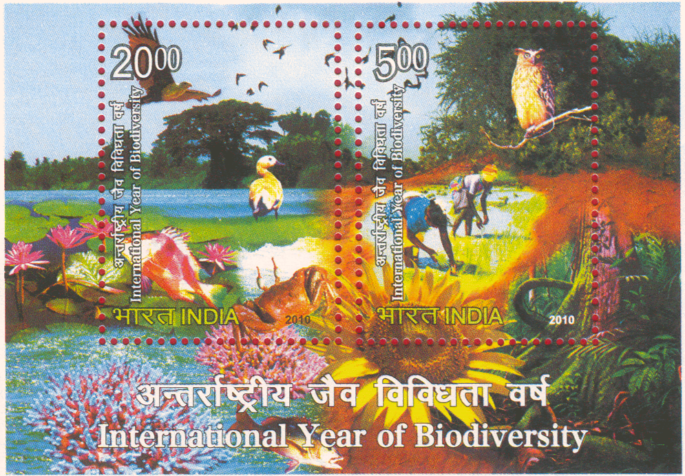 India 2010 International Year of Biodiversity Miniature Sheet MNH