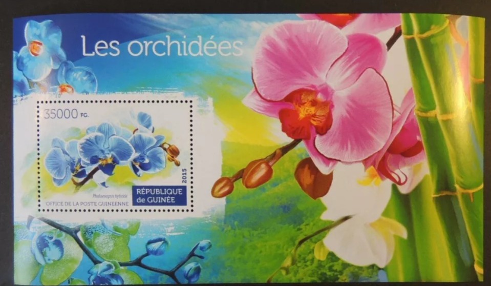 Guinee 2015 Orchids Flowers M/S MNH