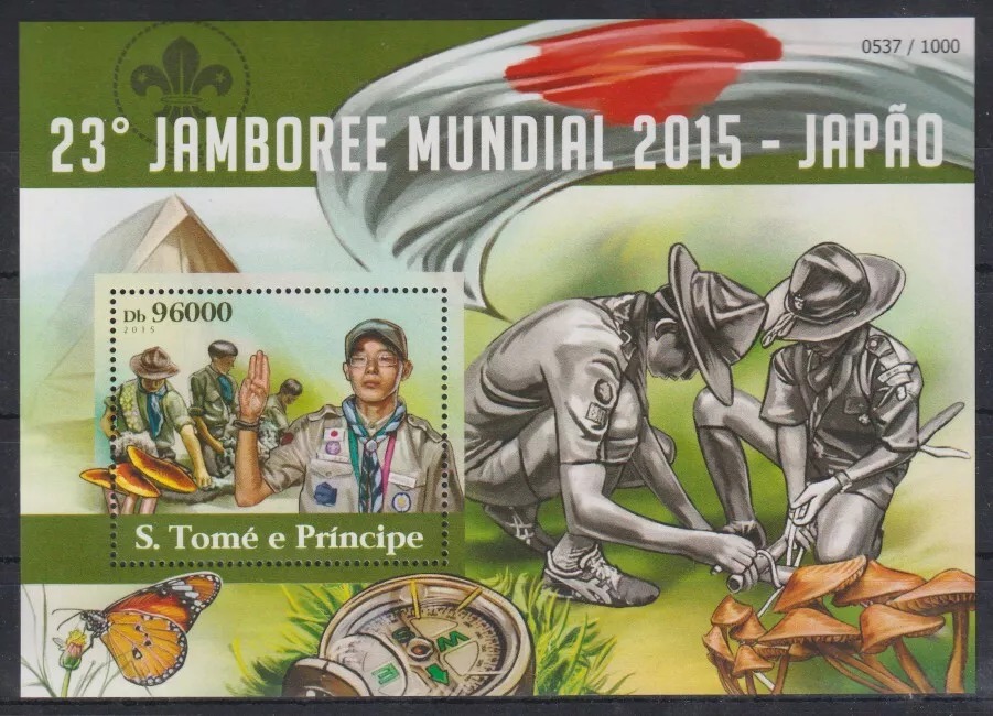 Guinee 2015 Organizations Scouting M/S HMN