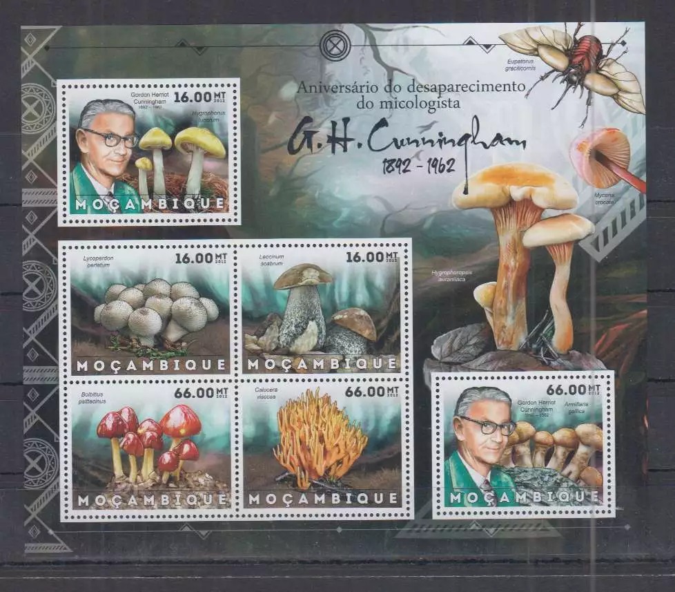 Mozambique 2012 Nature Flora Mushrooms M/S MNH