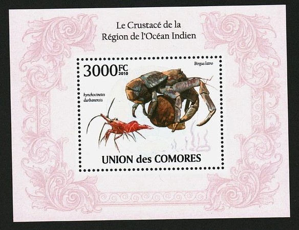 Comoros 2010 Crabs Crustacean Of Indian Ocean M/S MNH