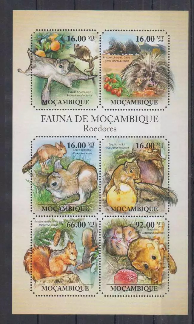 Mozambique 2011 Rats M/S HMN